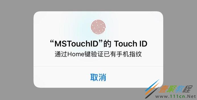 touchid安卓版touch国际版官网入口