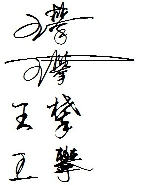 关于安卓版的签名之王的信息