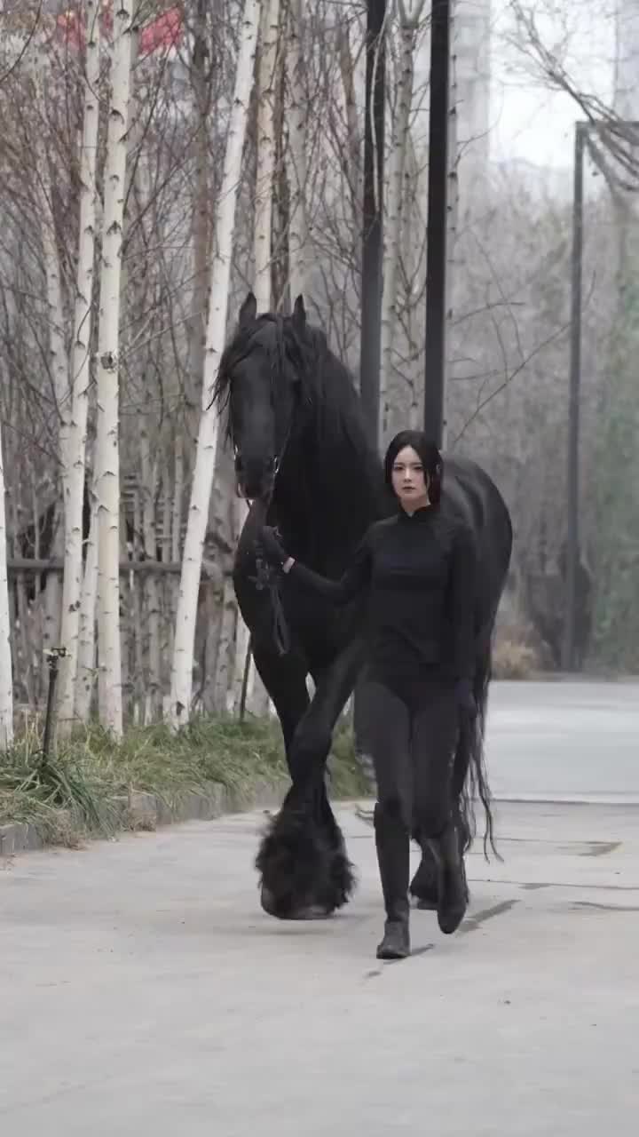 手机版黑马黑马全人工计划软件手机版-第2张图片-太平洋在线下载